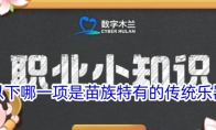以下哪一项是苗族特有的传统乐器