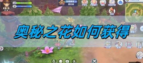 奥秘之花获取攻略