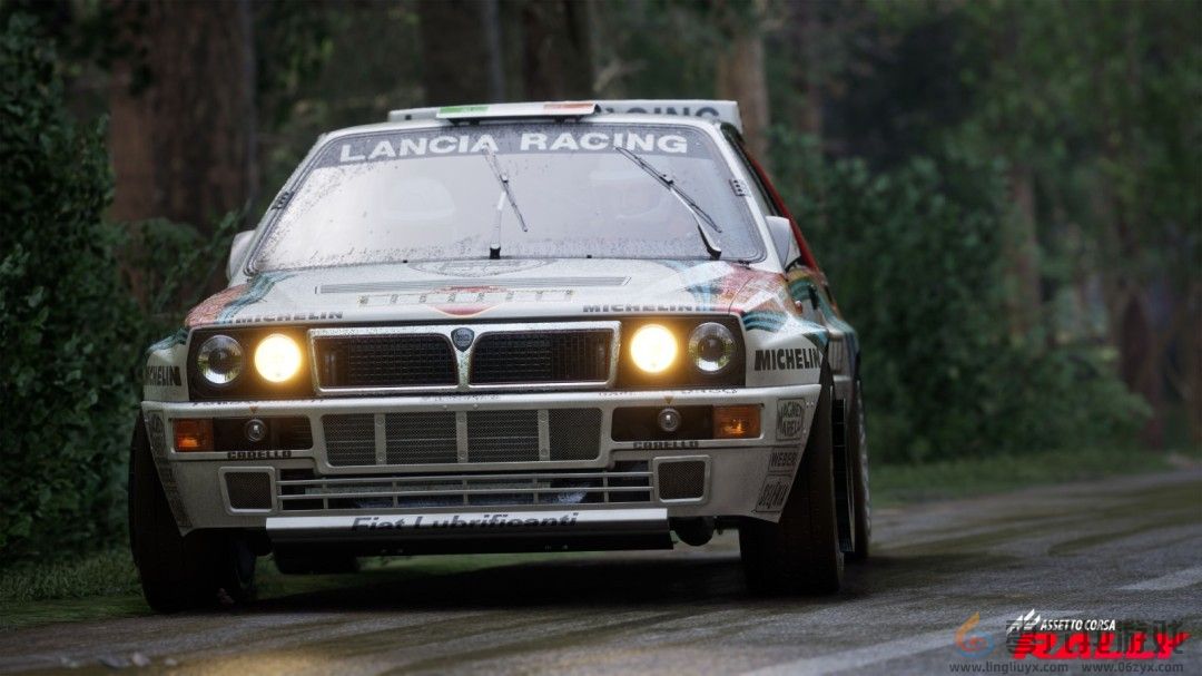 《神力科莎：拉力》Steam抢先体验开启 专业级拉力赛体验(图6)