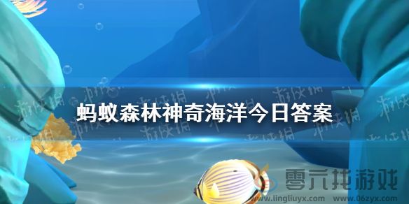 绿鹦鲷之所以得名，是因为什么特点与鹦鹉相似