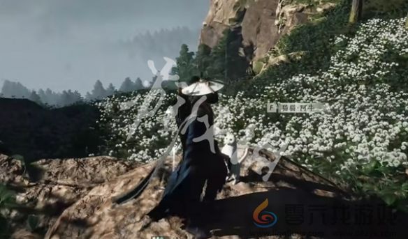 燕云十六声卧星岩猫戏全收集攻略(图4)