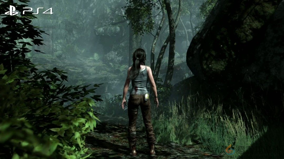 《古墓丽影9》NS2版画面大缩水 甚至不如PS3原版(图7)